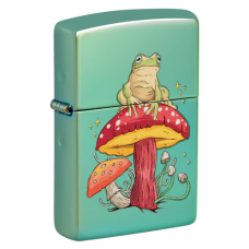 Zippo 48973 Mystical Frog Design 